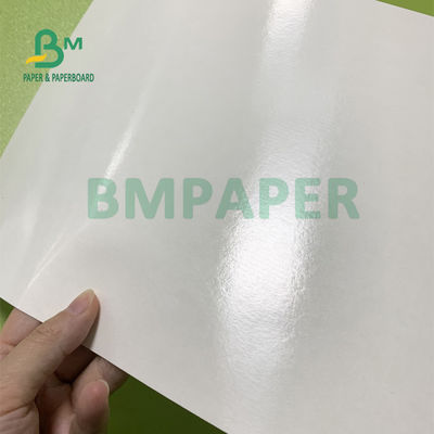230gsm + 15gsm المتانة PE المغلفة ورقة كأس الأسهم لوعاء الحساء 560mm X 700mm