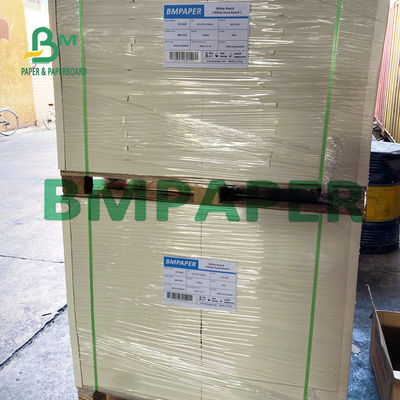 300gsm + 15g PE لوح أكواب متعدد الطبقات قابل للتشكيل للقهوة الساخنة