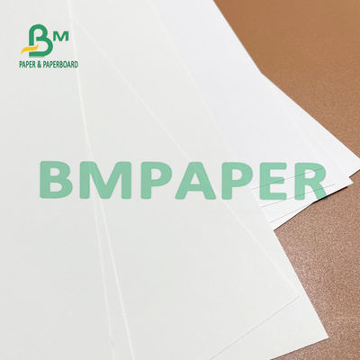 275g 325g 700mm ورق عاجي أبيض FBB Board مثالي للبريد المباشر