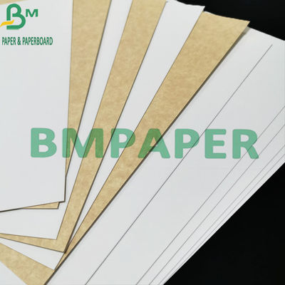 300gsm ورق الكرافت الأبيض المطلي بدرجة الغذاء مع ظهر بني لحاوية الطعام