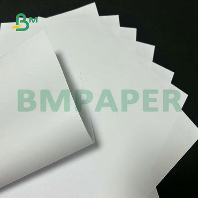 تنسيق عريض ورق غير مصقول Woodfree 55gsm 60gsm 65gsm لطباعة النصوص المدرسية