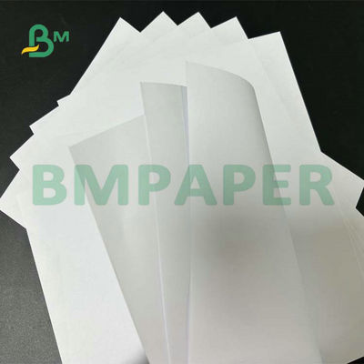 تنسيق عريض ورق غير مصقول Woodfree 55gsm 60gsm 65gsm لطباعة النصوص المدرسية