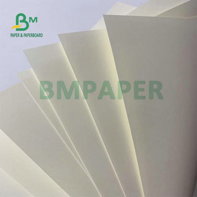 ورق أبيض عاجي غير مصقول Woodfree مقاس 55gsm 65gsm لصنع دفتر الملاحظات