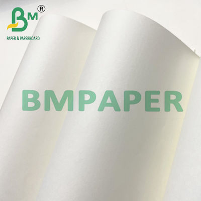80100120 GSM Roll Sheet Woodfree Beige Offset Paper لطباعة الكتب