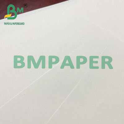 80100120 GSM Roll Sheet Woodfree Beige Offset Paper لطباعة الكتب