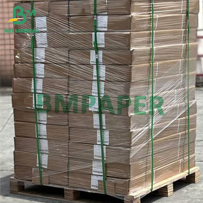 ورق الراسمة ورق CAD المطلي باللون الأبيض 5 لفات لكل كرتون 80 جرامًا 914 ملم × 50 ياردة