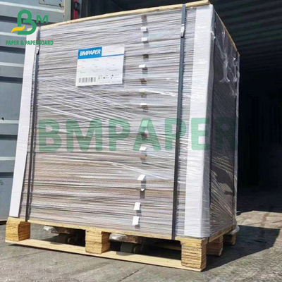 400gsm قابلة لإعادة التدوير مطلية بالكامل باللون الأبيض اللوح الرمادي الخلفي