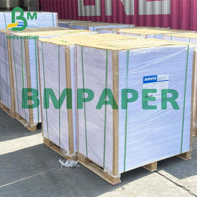 230g 250g 300g طباعة أوفست ورق غير مصقول Woodfree للنشرات