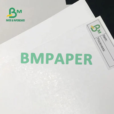 635 مم عرض FBB Board 275g 300g GC1 لفات ورق من الورق المقوى قابلة للطي من التبييض