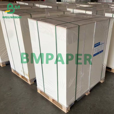 635 مم عرض FBB Board 275g 300g GC1 لفات ورق من الورق المقوى قابلة للطي من التبييض