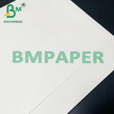 190gsm 200gsm 210gsm ورق الكؤوس الآمن للأغذية الساخنة