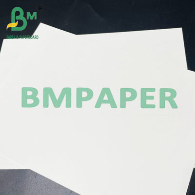 190gsm 200gsm 210gsm ورق الكؤوس الآمن للأغذية الساخنة