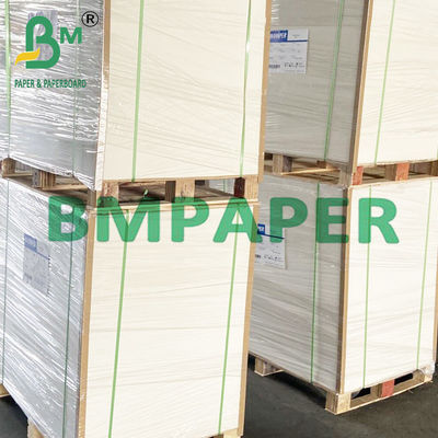 190gsm 200gsm 210gsm ورق الكؤوس الآمن للأغذية الساخنة