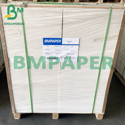 190gsm 200gsm 210gsm ورق الكؤوس الآمن للأغذية الساخنة