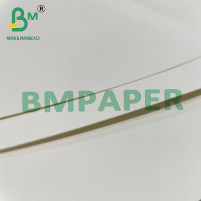 180gsm + 15g PE المعكرونة وعاء كأس ورقة المجلس للأغذية الساخنة