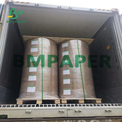 1443R 1473R الورق الخضراء الرمادية الوردية النسيجية للحصول على حقيبة ظهر الأزياء