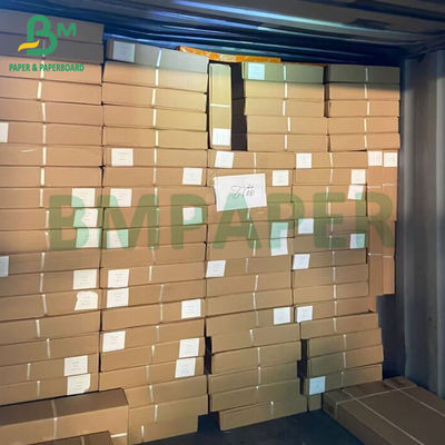 الورق الكبير 36 × 300' 24 × 150' الورق المخطط