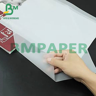 ورقة رسم شفافة للكتاب - 500 ورقة / ريم