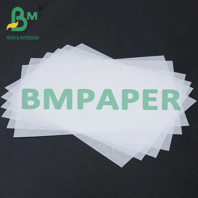 ورقة رسم شفافة للكتاب - 500 ورقة / ريم