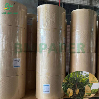 حقيبة حماية زراعة المانجو لامعة 30 غرامة داخل ورقة سوداء مضادة للشمس