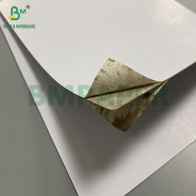 لوحة مزدوجة سميكة مغلفة بجانبين أبيض 1.0mm 0.8mm 0.7mm 31x43inch