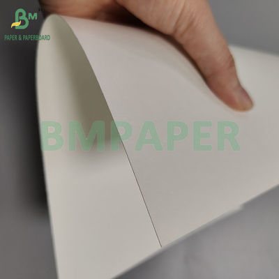 230gsm + 18pe ورق كأس متطاير P2S لمرة واحدة للشراب الساخن / البارد