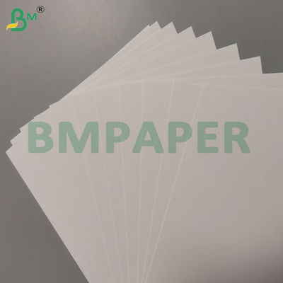 ورق البيضاء الممتصة عالية غير مغلفة 1mm 2mm 700 * 1000mm