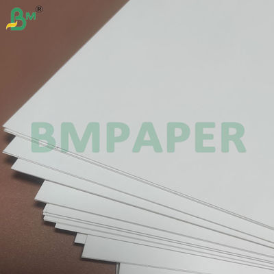 135-350 GSM حاوية غذائية عالية الصلابة الورقية للكأس الورقية