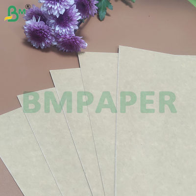 135-350 GSM حاوية غذائية عالية الصلابة الورقية للكأس الورقية