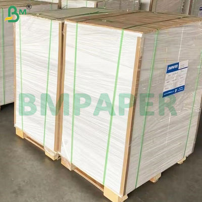 135-350 GSM حاوية غذائية عالية الصلابة الورقية للكأس الورقية