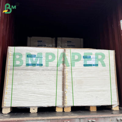 BMPAPER ضد السوائل الورق البيضاء والبنية Cupstock المصفوفة مع PE الطلاء
