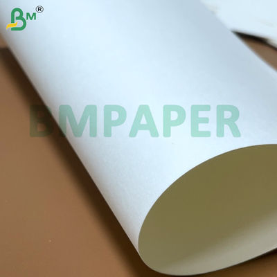 طبقة الغذاء صحن المعكرونة الورقية 700mm × 1000mm 200g + 20g PE مغلفة