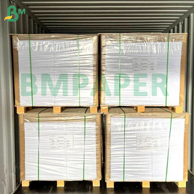 طبقة الغذاء صحن المعكرونة الورقية 700mm × 1000mm 200g + 20g PE مغلفة