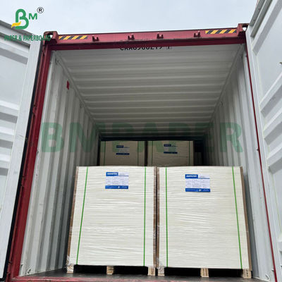 240 غرام + 15PE مغلفة 1 الجانب ورق Cupstock للكؤوس الشرب 31 x 43 بوصة مقاوم للماء 100٪