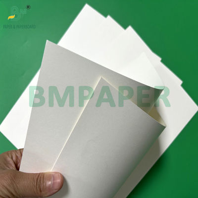 240 غرام + 15PE مغلفة 1 الجانب ورق Cupstock للكؤوس الشرب 31 x 43 بوصة مقاوم للماء 100٪