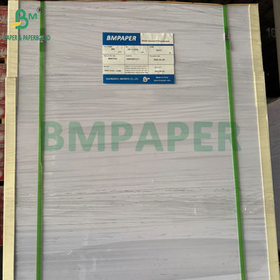 240 غرام + 15PE مغلفة 1 الجانب ورق Cupstock للكؤوس الشرب 31 x 43 بوصة مقاوم للماء 100٪
