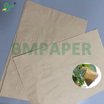 55g 80g Brown Kraft Fruit Bagging Paper UV & Pest Protection For Peaches/Pears