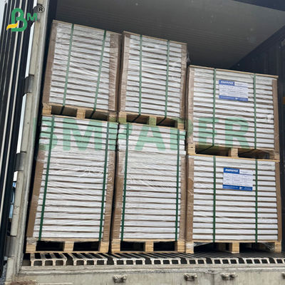 300 جرام 350 جرام 900 ملم 1000 ملم ورق قابل للطباعة مقاوم للتجمد قابل للطي لصندوق الأطعمة المجمدة