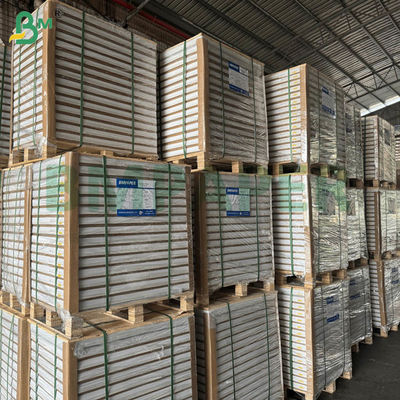 55gsm 60gsm ورق نسخ ذاتي بدون كربون NCR أوراق ممتدة فارغة 70x100 سم 61x86 سم