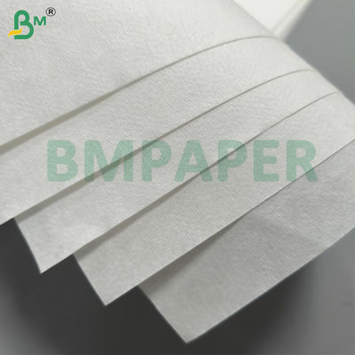 Bleached Porous Filter Paper For Pour - Over, Drip And Espresso Mahines
