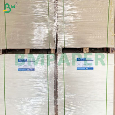 1.2 ملم 1.5 ملم أوراق ورق ماص أبيض طبيعي للفناجين