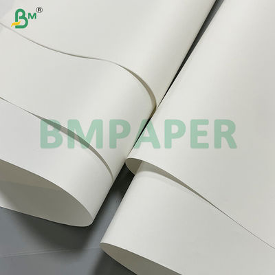 300 جرام ورق طباعة حجري صديق للبيئة لكتب وألبومات فنية عالية الجودة