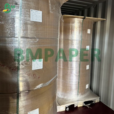 ورق متخصص للأطباق والأوعية الغذائية / ورق الأطباق، مطلي بمادة PET