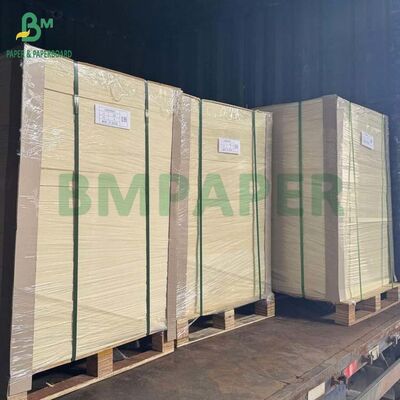 لوح قاعدة أكواب غير مطلي 455 مم × 650 مم، 390 جرام لكل متر مربع، أبيض طبيعي لحوامل البيرة