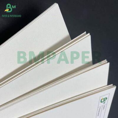 لوح قاعدة أكواب غير مطلي 455 مم × 650 مم، 390 جرام لكل متر مربع، أبيض طبيعي لحوامل البيرة