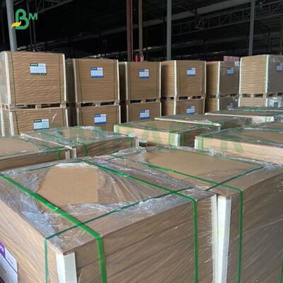 ورق أكواب من ورق الكرافت المصنوع من الخيزران القابل للتحلل 260GSM + 18GSM FDA مع طلاء PE / PLA