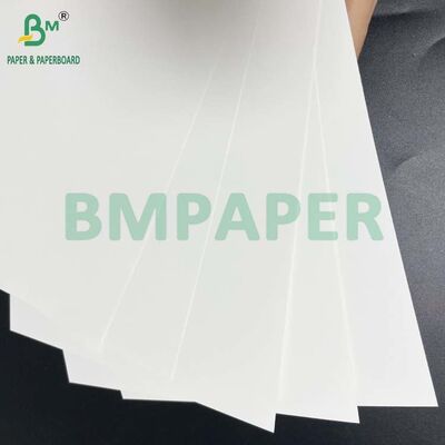 ورق مقوى أبيض مطلي من جانب واحد C1S بوزن 190 جرامًا للمتر المربع و 210 جرامًا للمتر المربع لتغليف التبغ