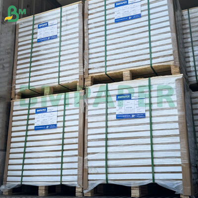 210gsm لفات ورق طباعة فني لامع C2S على الوجهين 31*43 بوصة