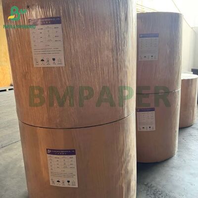 ورق مقوى C1S لامع من جانب واحد 16pt 18pt 24pt لتغليف الغلاف الصدفي