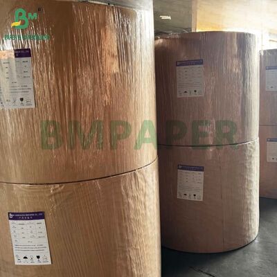 ورق مقوى C1S لامع من جانب واحد 16pt 18pt 24pt لتغليف الغلاف الصدفي